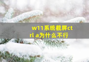 w11系统截屏ctrl a为什么不行